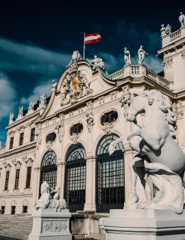 pexels-minsubreitenstein-11932432